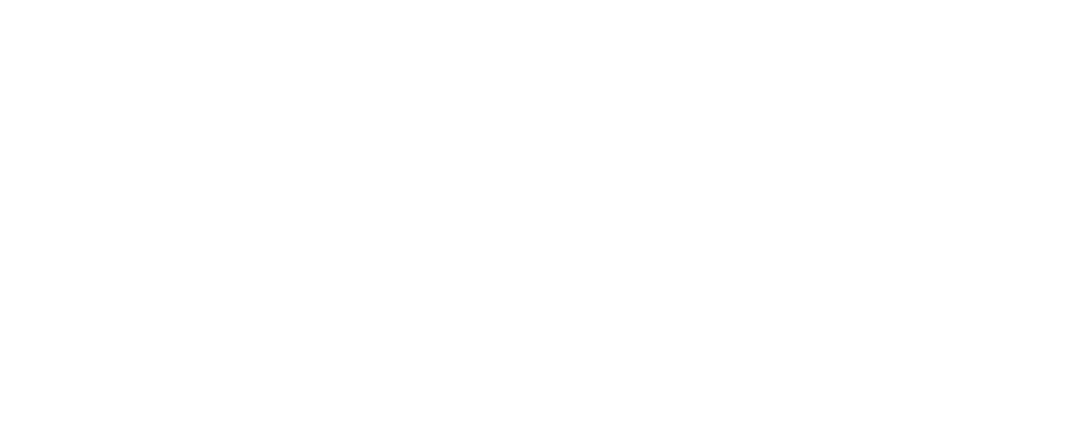 REINE LINIE